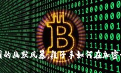 区块链币圈的幽默风暴：