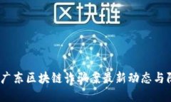 2023年广东区块链诈骗案最