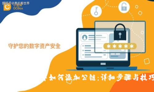 在TPWallet中如何添加公链：详细步骤与技巧